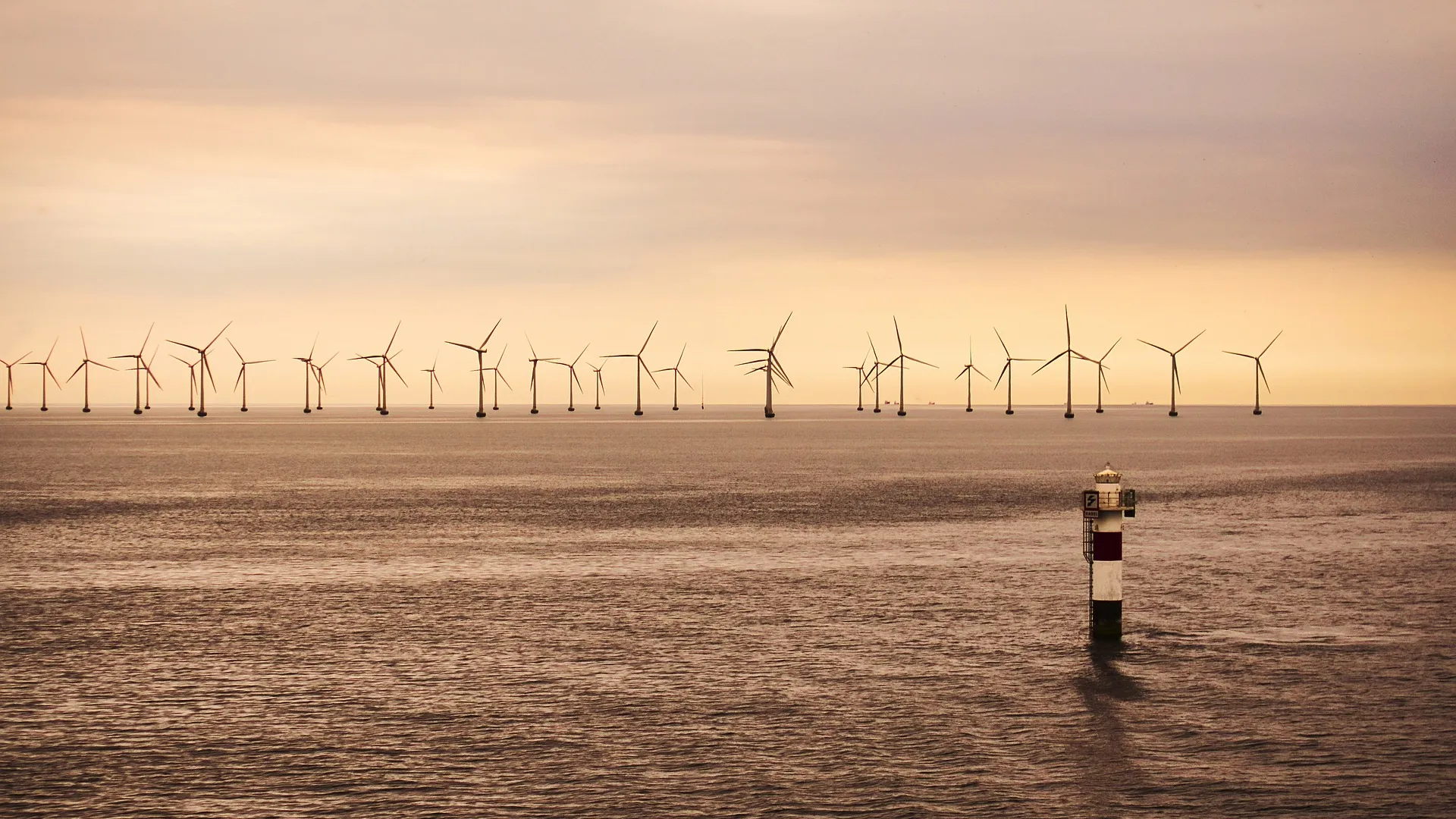 Windräder im Meer